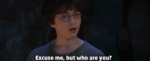 Excuse me, but who are you? Harry Potter gif. meme